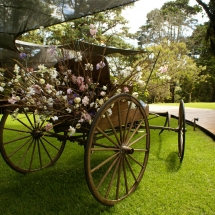 Jardín