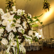 Gran Salón 04